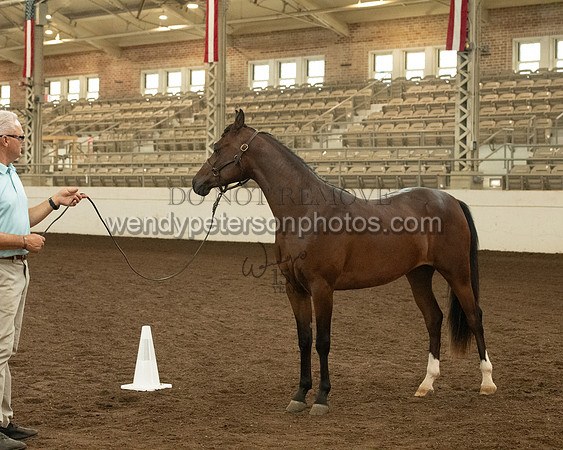 20126R115-0757-Do_not_copy_PROOF