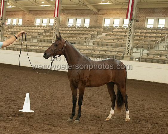 20126R115-0762-Do_not_copy_PROOF