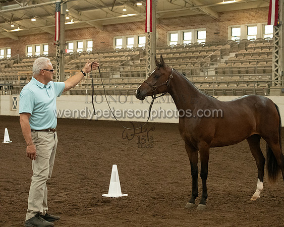 20126R115-0760-Do_not_copy_PROOF