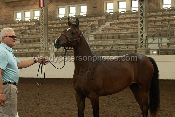 20126R115-0766-Do_not_copy_PROOF