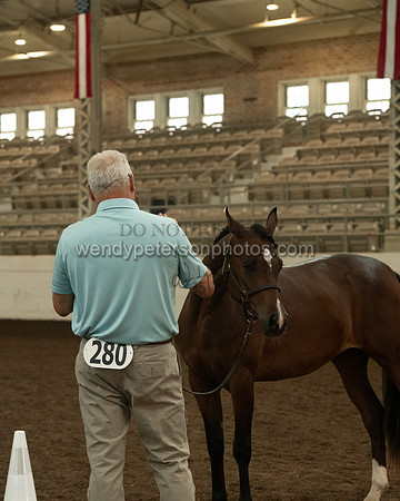 20126R115-0764-Do_not_copy_PROOF