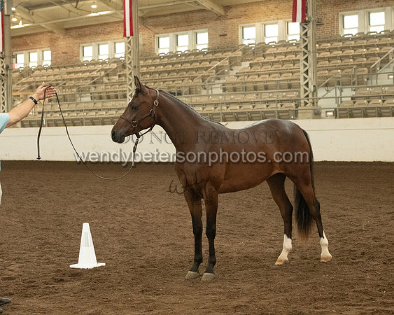 20126R115-0758-Do_not_copy_PROOF