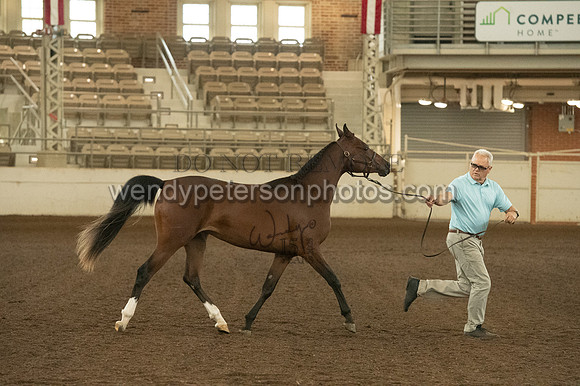 20126R115-0769-Do_not_copy_PROOF