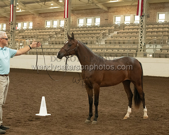 20126R115-0759-Do_not_copy_PROOF