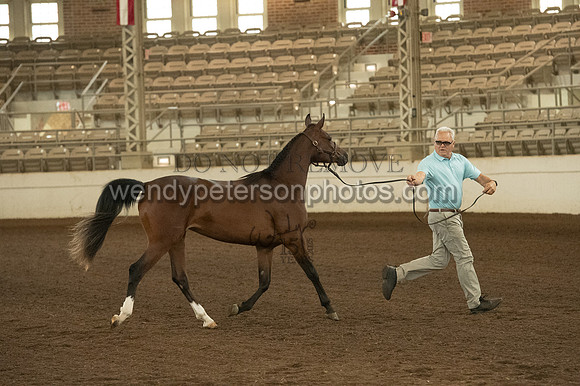 20126R115-0770-Do_not_copy_PROOF