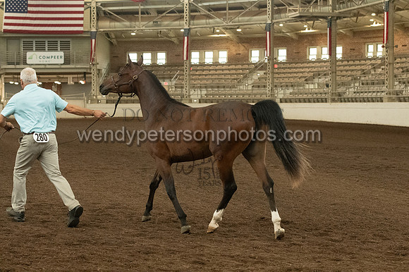 20126R115-0767-Do_not_copy_PROOF