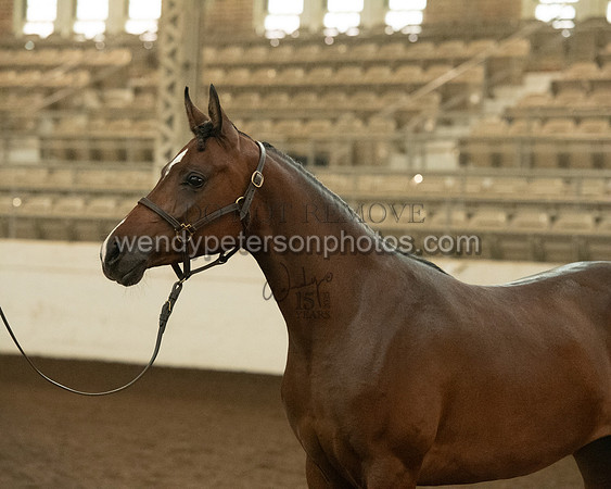 20126R115-0763-Do_not_copy_PROOF