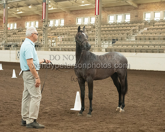20126R115-0802-Do_not_copy_PROOF