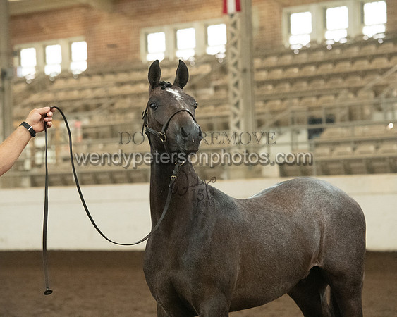 20126R115-0807-Do_not_copy_PROOF