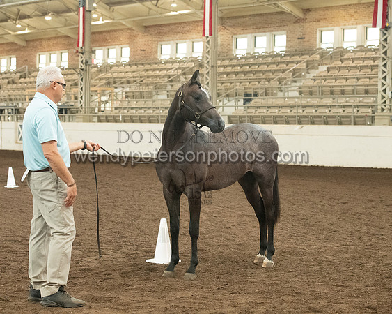 20126R115-0803-Do_not_copy_PROOF