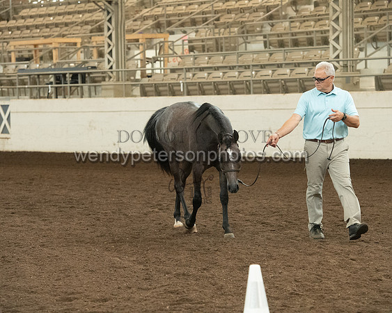 20126R115-0809-Do_not_copy_PROOF