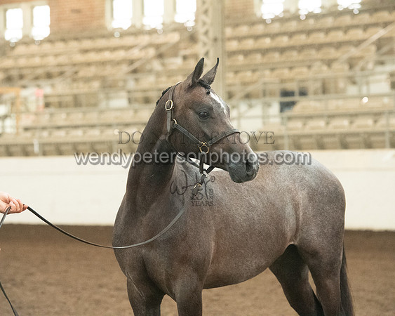 20126R115-0804-Do_not_copy_PROOF