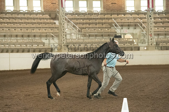 20126R115-0811-Do_not_copy_PROOF