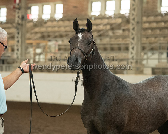 20126R115-0805-Do_not_copy_PROOF