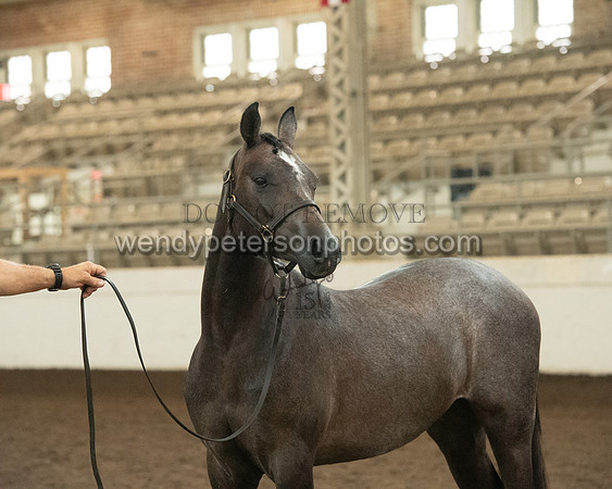 20126R115-0806-Do_not_copy_PROOF
