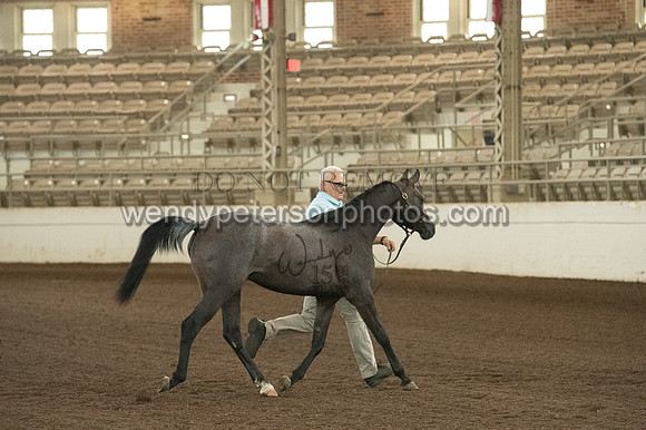 20126R115-0814-Do_not_copy_PROOF