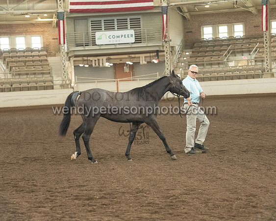 20126R115-0808-Do_not_copy_PROOF