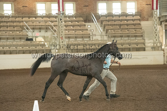 20126R115-0812-Do_not_copy_PROOF