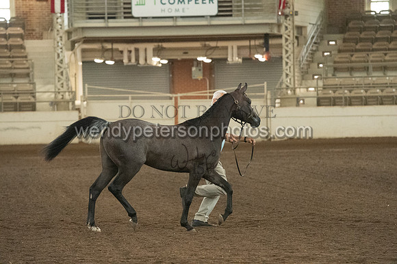 20126R115-0813-Do_not_copy_PROOF
