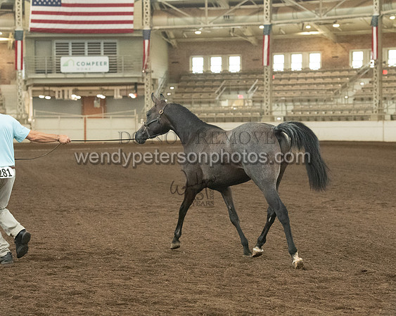 20126R115-0810-Do_not_copy_PROOF