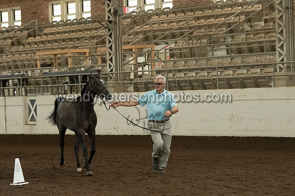 20126R115-0815-Do_not_copy_PROOF