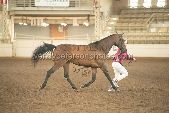 20126R115-0585-Do_not_copy_PROOF