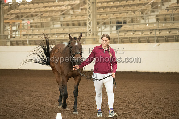 20126R115-0581-Do_not_copy_PROOF