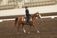 283 AUR MAGIC MIRAGE