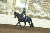 134 HA/AA Sport Horse Show Hack Open