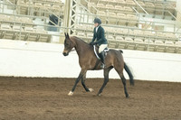 135 A/HA/AA Western Dressage Seat on the Rail ATR