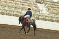 142 A/HA/AA Western Dressage Suitability Open