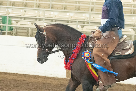 142_1013-Do_not_copy_PROOF
