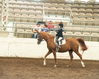 144 A/HA/AA Sport Horse Under Saddle Walk/Trot JTR 10 & Under