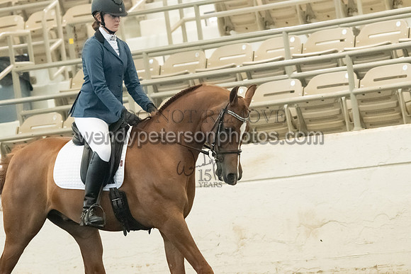 145_1194-Do_not_copy_PROOF