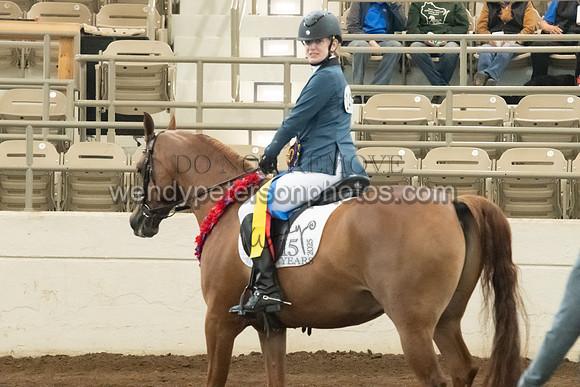 145_1212-Do_not_copy_PROOF