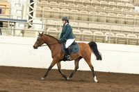 145B A/HA/AA Sport Horse Under Saddle Walk/Trot ATR 11 & Over