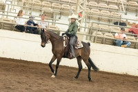 147 A/HA/AA Western Dressage Suitability ATR