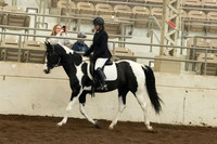 149 HA/AA Sport Horse Under Saddle ATR Hunt Type