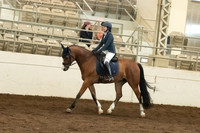 152 Arabian Sport Horse Show Hack Open