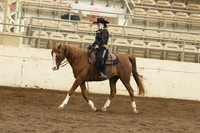 153 HA/AA Sport Horse Under Saddle AOTR