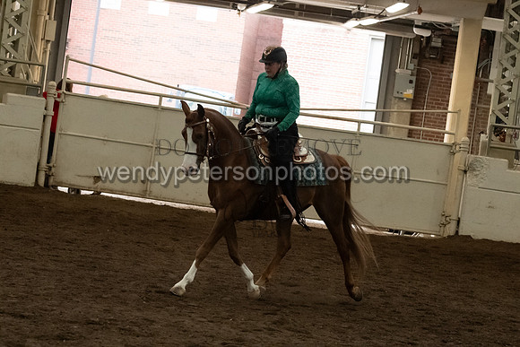 153_1461-Do_not_copy_PROOF