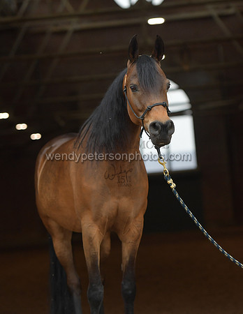 292_1618-Do_not_copy_PROOF