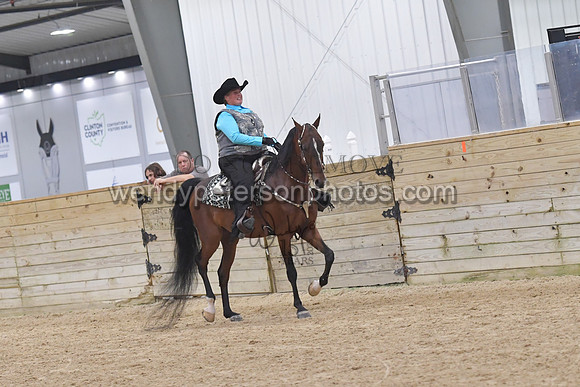 096_9996-Do_not_copy_PROOF