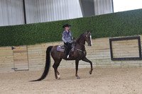 96 ASB Western Pleasure Amateur