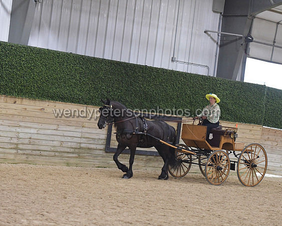 095_9945-Do_not_copy_PROOF