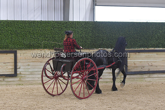 095_9963-Do_not_copy_PROOF