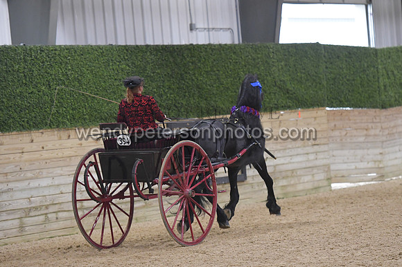 095_9989-Do_not_copy_PROOF
