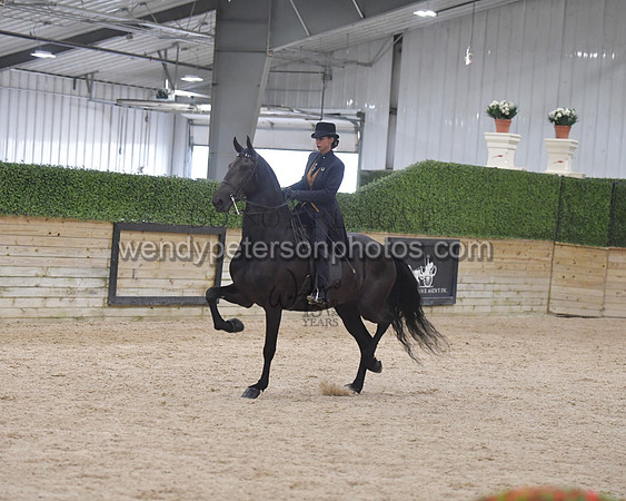 095_9896-Do_not_copy_PROOF