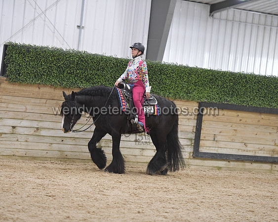 094_9827-Do_not_copy_PROOF