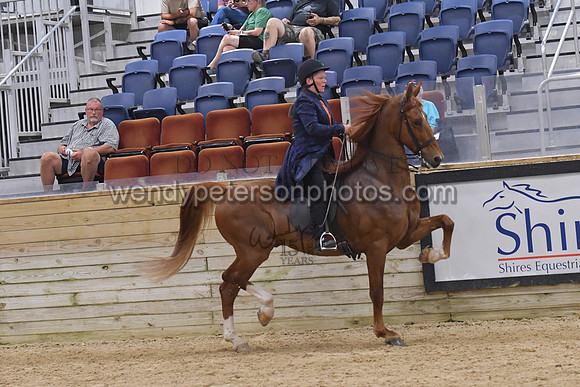094_9762-Do_not_copy_PROOF